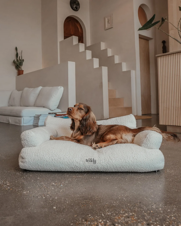 By Teddy The Teddington Sofa Dog Bed | Bouclé