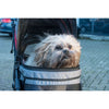 InnoPet Avenue Pet Pram Including Free Rain Cover-Pet Strollers-Innopet- Silver Circle Pets