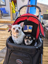 InnoPet Buggy Comfort EFA ECO Dog Pram V2.0 + Free Organiser-Pet Strollers-Innopet- Silver Circle Pets