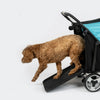 InnoPet Mamut XL Dog Pram with Free Rain Cover + Organiser-Pet Strollers-Innopet- Silver Circle Pets