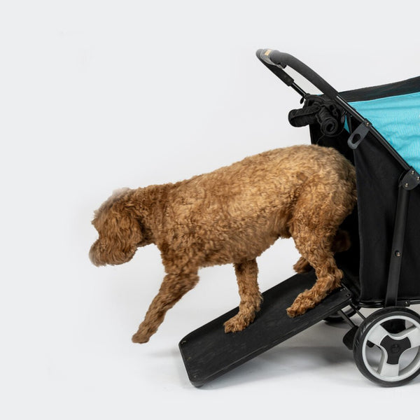 InnoPet Mamut XL Dog Pram with Free Rain Cover + Organiser-Pet Strollers-Innopet- Silver Circle Pets