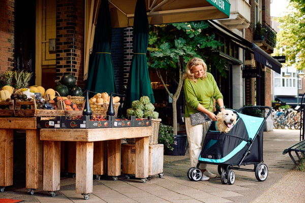 InnoPet Mamut XL Dog Pram with Free Rain Cover + Organiser-Pet Strollers-Innopet- Silver Circle Pets