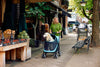 InnoPet Mamut XL Dog Pram with Free Rain Cover + Organiser-Pet Strollers-Innopet- Silver Circle Pets