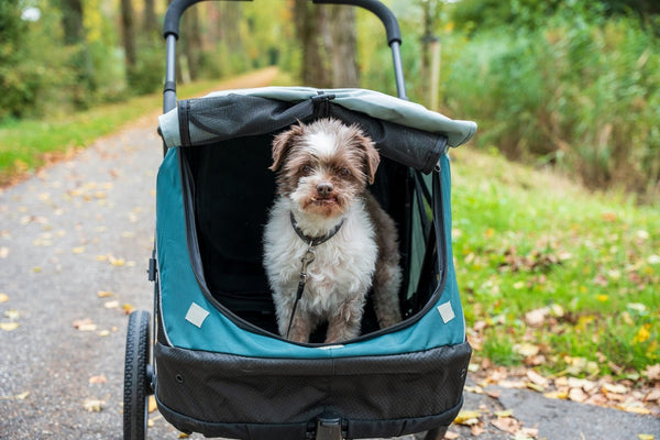 InnoPet Noah Dog Stroller, Bike Trailer & Travel Crate-Pet Strollers-Innopet- Silver Circle Pets