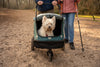 InnoPet Noah Dog Stroller, Bike Trailer & Travel Crate-Pet Strollers-Innopet- Silver Circle Pets