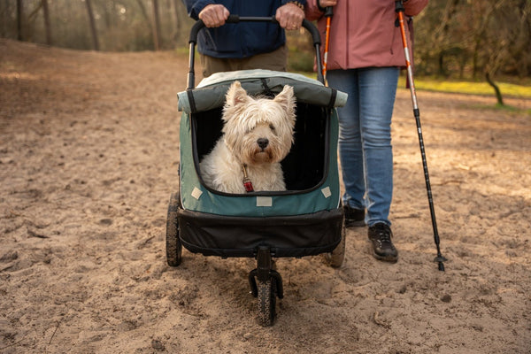 InnoPet Noah Dog Stroller, Bike Trailer & Travel Crate-Pet Strollers-Innopet- Silver Circle Pets