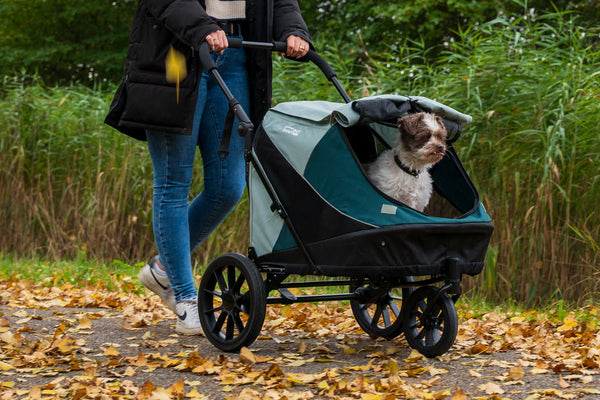 InnoPet Noah Dog Stroller, Bike Trailer & Travel Crate-Pet Strollers-Innopet- Silver Circle Pets