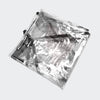 InnoPet Nomad Pet Travel System Rain Cover-Rain Cover-Innopet- Silver Circle Pets