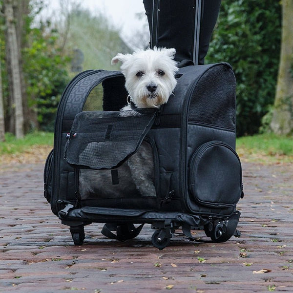 InnoPet Roller Pet Carrier-Pet Accessories-Innopet- Silver Circle Pets
