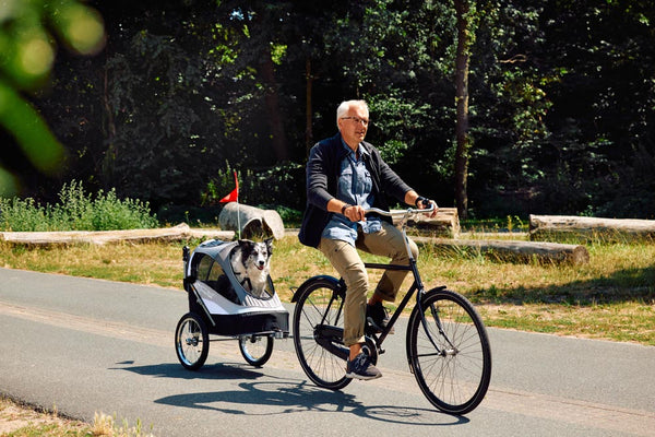 InnoPet Sporty Deluxe Pet Pram & Dog Bike Trailer with Free Rain Cover-Pet Strollers-Innopet- Silver Circle Pets