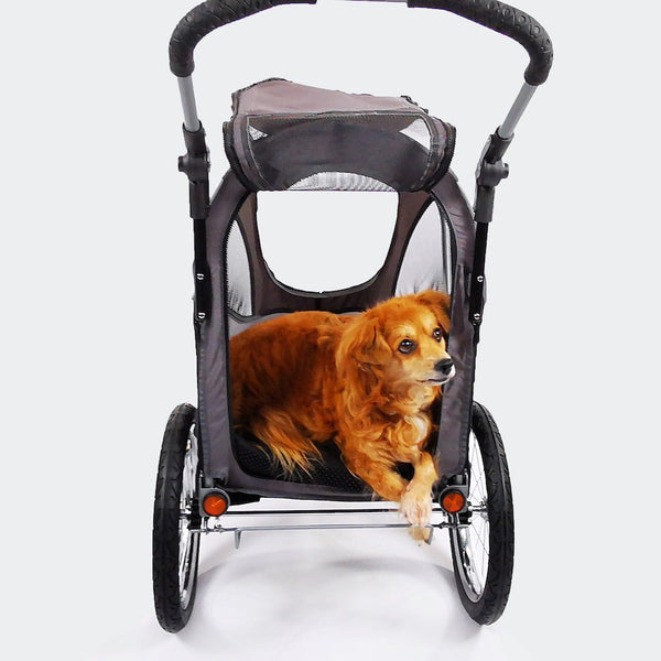 InnoPet Sporty Orthopeadic Mattress-Dog Bed-Innopet- Silver Circle Pets