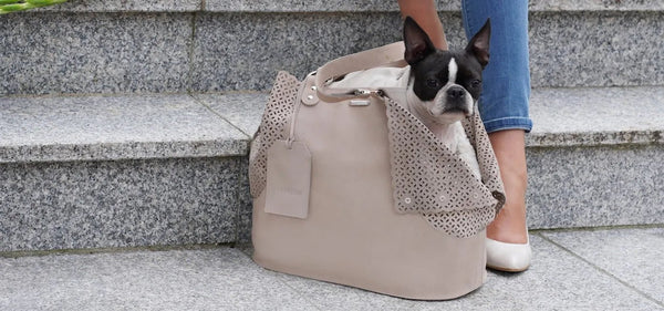 Labbvenn EVLA Dog Carrier-Pet Carrier-Labbvenn- Silver Circle Pets