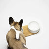 Labbvenn VUKU Ceramic Double Buffet-Pet Bowls, Feeders & Waterers-Labbvenn- Silver Circle Pets