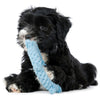 Laboni Ahoy Dog Toy Set-Dog Toys-Laboni- Silver Circle Pets