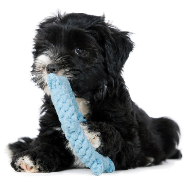 Laboni Ahoy Dog Toy Set-Dog Toys-Laboni- Silver Circle Pets