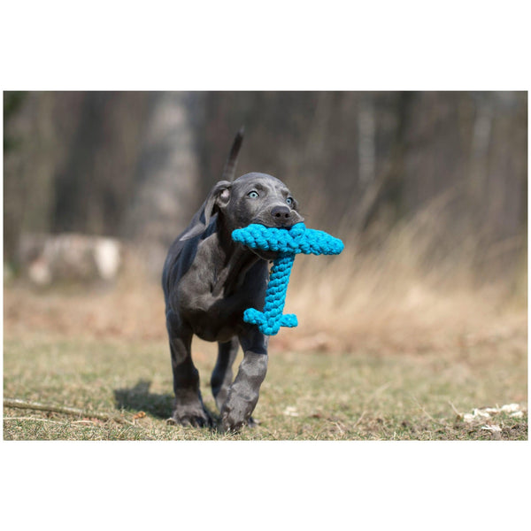Laboni Ahoy Dog Toy Set-Dog Toys-Laboni- Silver Circle Pets