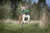 Laboni Big Wildlife Dog Toy Set-Dog Toys-Laboni- Silver Circle Pets