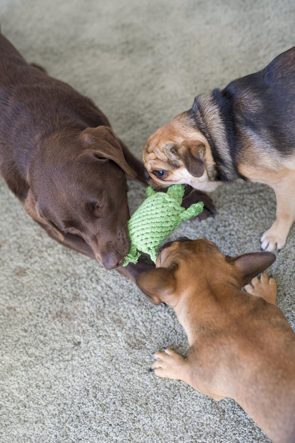 Laboni Little Ocean Dog Toy Set-Dog Toys-Laboni- Silver Circle Pets