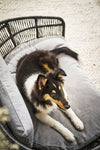 Laboni Luna Lounge Set Tudor Orthopaedic Dog Bed-Dog Bed-Laboni- Silver Circle Pets