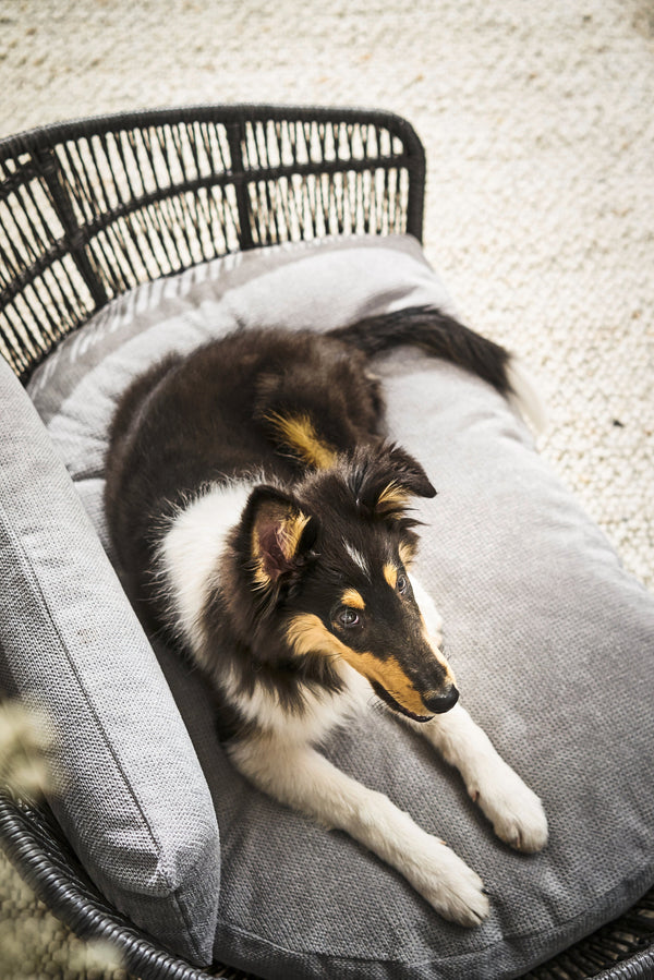 Laboni Luna Lounge Set Tudor Orthopaedic Dog Bed-Dog Bed-Laboni- Silver Circle Pets