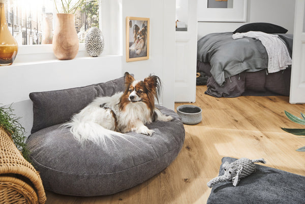 Laboni Luna Lounge Set Tudor Orthopaedic Dog Bed-Dog Bed-Laboni- Silver Circle Pets