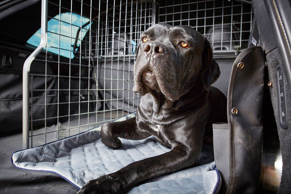 Laboni Multifunctional Outdoor and Travel Dog Blanket Oxford-Dog Blanket-Laboni- Silver Circle Pets