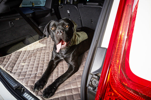Laboni Multifunctional Outdoor and Travel Dog Blanket Oxford-Dog Blanket-Laboni- Silver Circle Pets