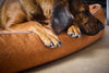Laboni Orthopaedic Dog Bed Teddy-Dog Bed-Laboni- Silver Circle Pets