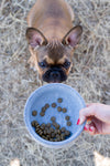 Laboni Soapstone Dog & Cat Bowl Rocky-Pet Bowls, Feeders & Waterers-Laboni- Silver Circle Pets