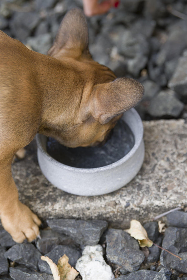 Laboni Soapstone Dog & Cat Bowl Rocky-Pet Bowls, Feeders & Waterers-Laboni- Silver Circle Pets