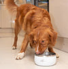 Long Paws - Lunar Bowl Set-Pet Bowls, Feeders & Waterers-Long Paws- Silver Circle Pets