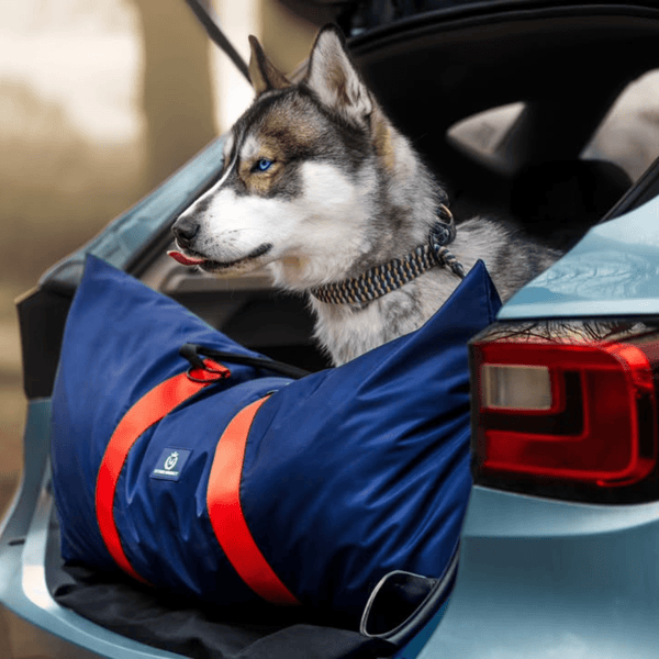 Luther Bennett ISOFIX Travel Dog Car Seat XL-Pet Car Seat-Luther Bennett- Silver Circle Pets