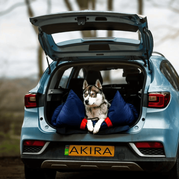 Luther Bennett ISOFIX Travel Dog Car Seat XL-Pet Car Seat-Luther Bennett- Silver Circle Pets