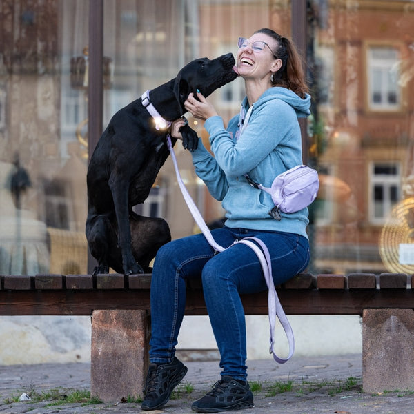 Max & Molly Matrix 2.0 Ultra LED Dog Collar Safety Light | USB-C Rechargeable-Pet Accessories-Max & Molly- Silver Circle Pets