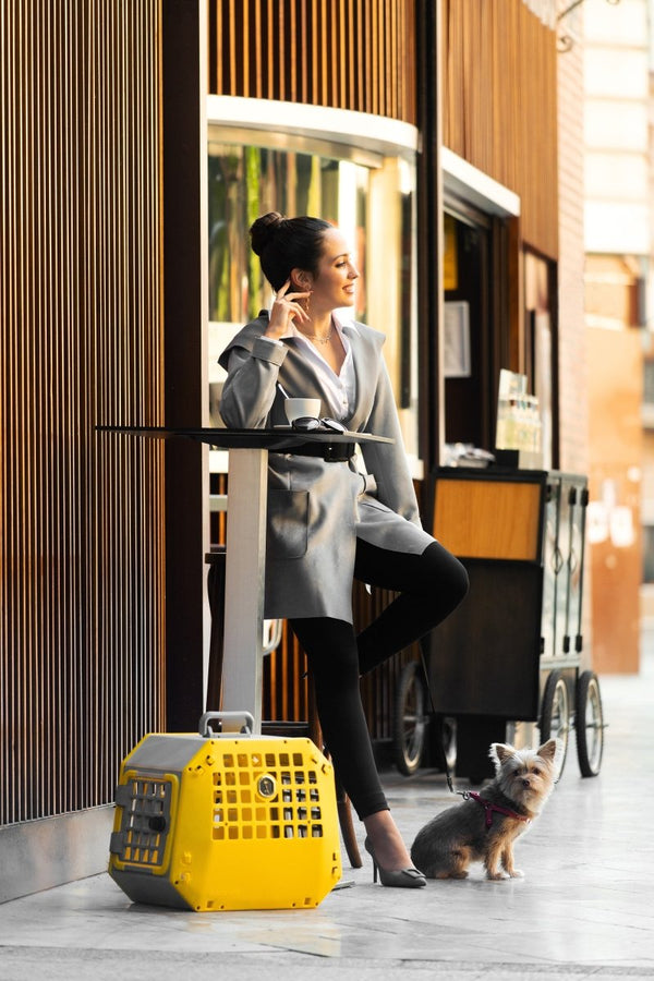 MIMSafe Care2 Hard-Shell Pet Carrier & Car Seat | Crash Tested | 2-in-1 | Large-Pet Carrier-MIMSafe- Silver Circle Pets