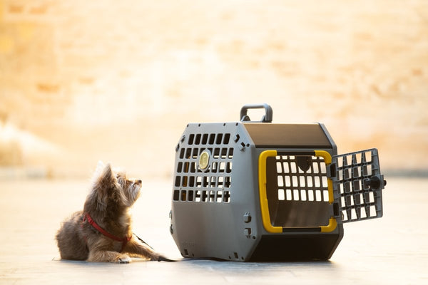 MIMSafe Care2 Hard-Shell Pet Carrier & Car Seat | Crash Tested | 2-in-1 | Large-Pet Carrier-MIMSafe- Silver Circle Pets