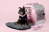 MIMSafe Care2 Hard-Shell Pet Carrier & Car Seat | Crash Tested | 2-in-1 | Large-Pet Carrier-MIMSafe- Silver Circle Pets