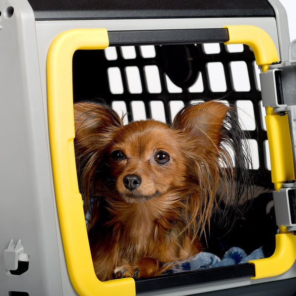MIMSafe Care2 Hard-Shell Pet Carrier & Car Seat | Crash Tested | 2-in-1 | Medium-Pet Carrier-MIMSafe- Silver Circle Pets