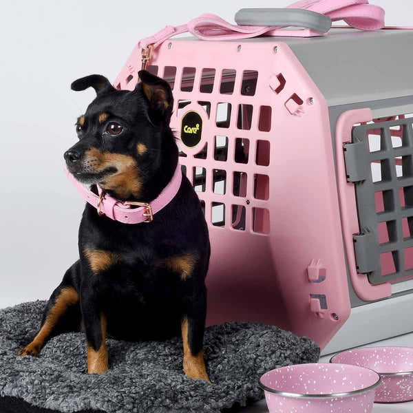 MIMSafe Care2 Hard-Shell Pet Carrier & Car Seat | Crash Tested | 2-in-1 | Medium-Pet Carrier-MIMSafe- Silver Circle Pets