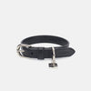 Neula Courage Vegan Leather Dog Collar Walk Set-Collar & Leash Set-Neula- Silver Circle Pets