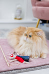 Oh Charlie Cat Toy-Cat Toys-Oh Charlie- Silver Circle Pets