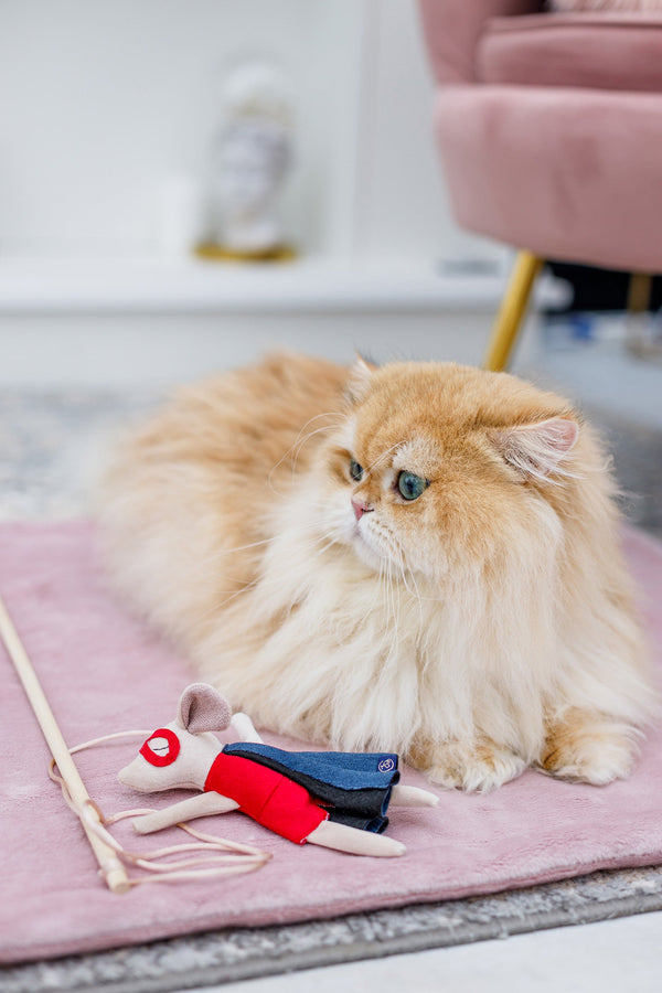 Oh Charlie Cat Toy-Cat Toys-Oh Charlie- Silver Circle Pets