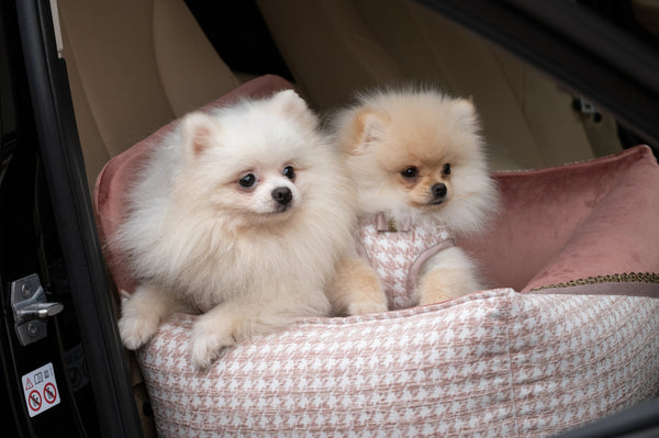 Oh Charlie Dog Car Seat Bed Glamour-Dog Car Seat-Oh Charlie- Silver Circle Pets