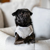 Oh Charlie Dog Car Seat Modern Finessa-Dog Car Seat-Oh Charlie- Silver Circle Pets