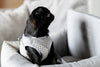 Oh Charlie Dog Car Seat Modern Finessa-Dog Car Seat-Oh Charlie- Silver Circle Pets