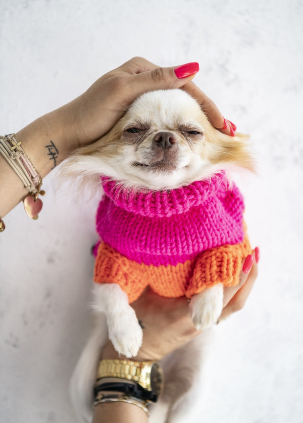 Oh Charlie Dog Sweater NeonRush-Dog Jumper-Oh Charlie- Silver Circle Pets