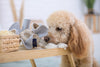 Oh Charlie Dog Toy Boho-Dog Toys-Oh Charlie- Silver Circle Pets