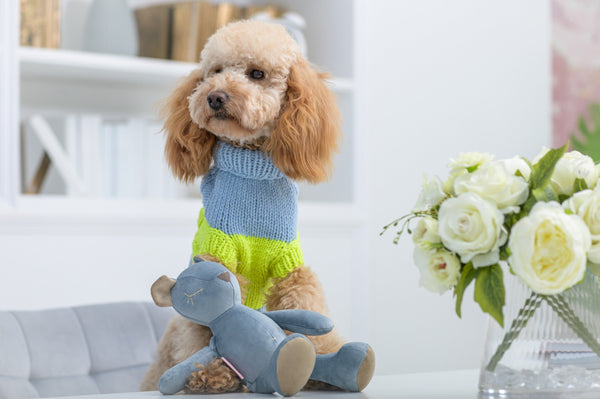 Oh Charlie Dog Toy-Dog Toys-Oh Charlie- Silver Circle Pets