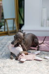 Oh Charlie Dog Toy Elephant-Dog Toys-Oh Charlie- Silver Circle Pets
