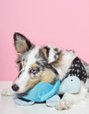Oh Charlie Dog Toy Turtle-Dog Toys-Oh Charlie- Silver Circle Pets